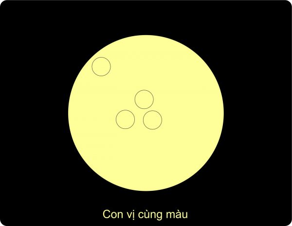 1 con vị nằm sát mép đĩa, 3 con nằm trong lòng đĩa